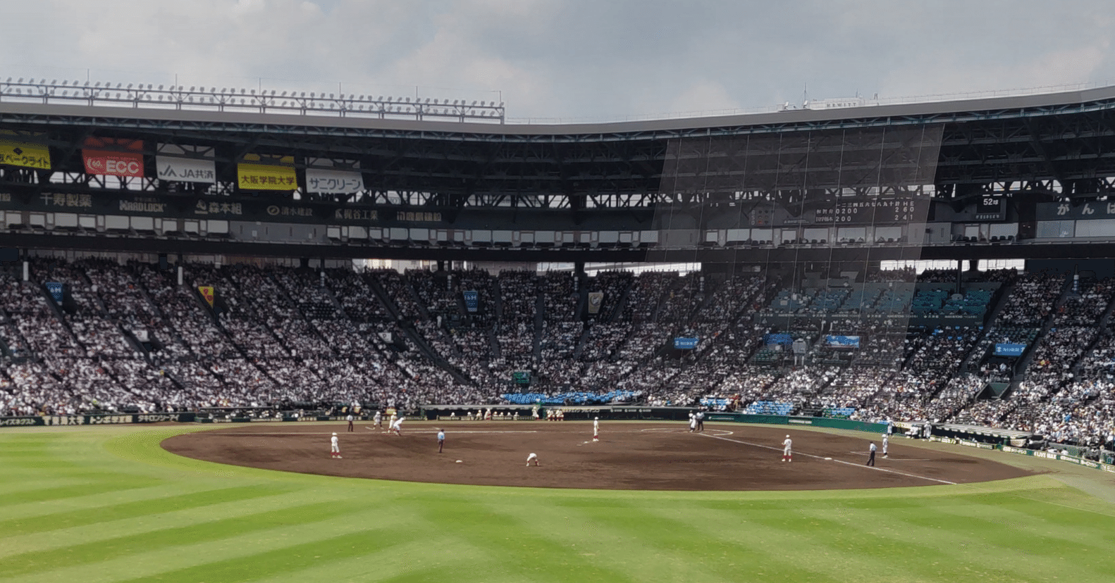 第95回選抜高等学校野球大会総括|湯郷五月