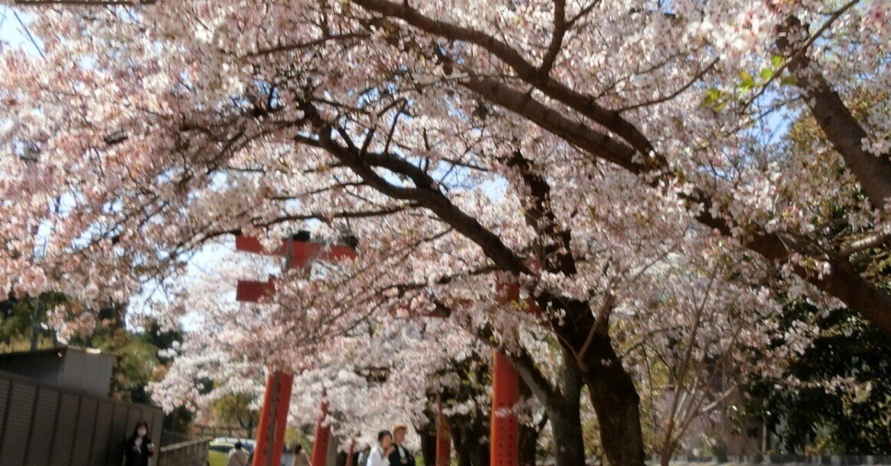 桜/紅葉トンネル「竹中稲荷神社」まだバレてない?吉田神社末社【京都