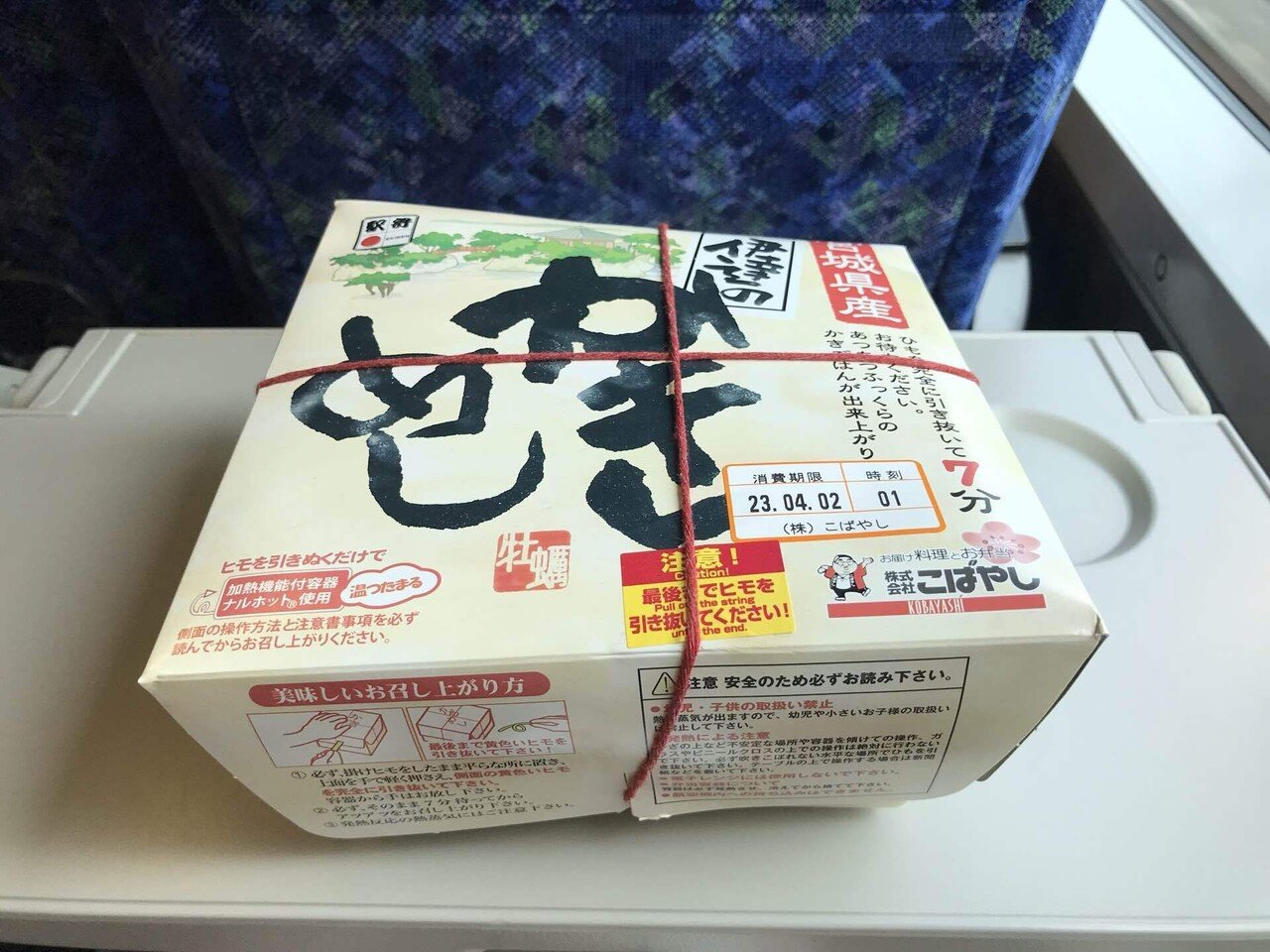 青春18きっぷで出かけよう！ 桜満開のアプトの道・信越本線横川