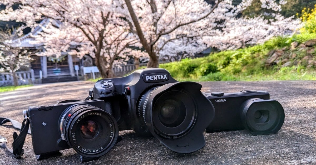 CMOS vs CCD vs Foveon いろんなセンサーのデジタルカメラで桜を