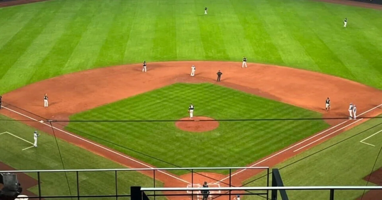 8月10日 土曜 エスコンフィールド 内野バックネット裏 4連番 8月10日 土曜 エスコンフィールド 内野バックネット裏 4連番