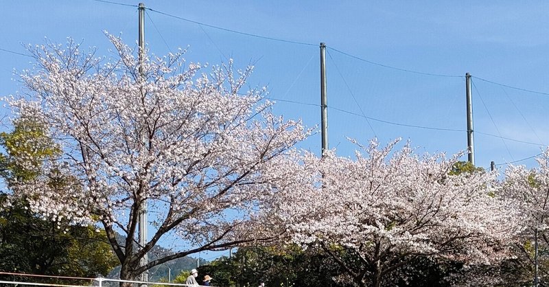 ６年間お疲れさま！！そして、入学おめでとう！！