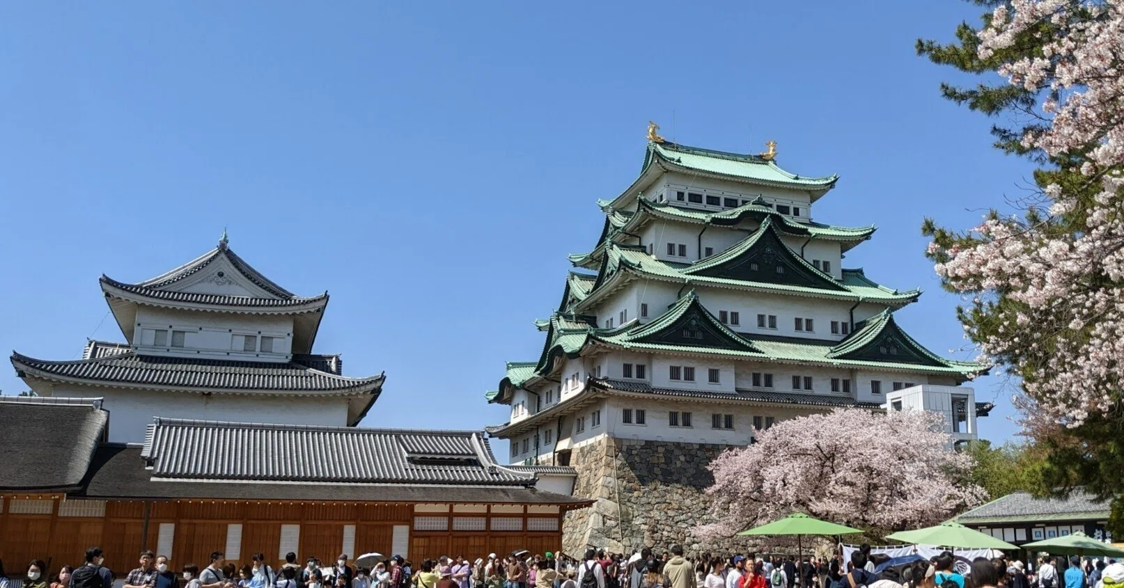 名古屋城桜まつりは大賑わい；信長に槍の又左、傾奇者慶次、7代宗春