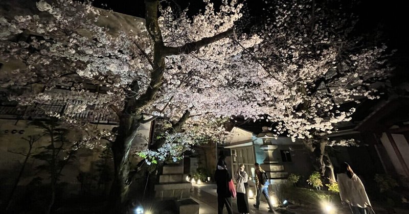 墨染駅の近くの墨染寺の桜