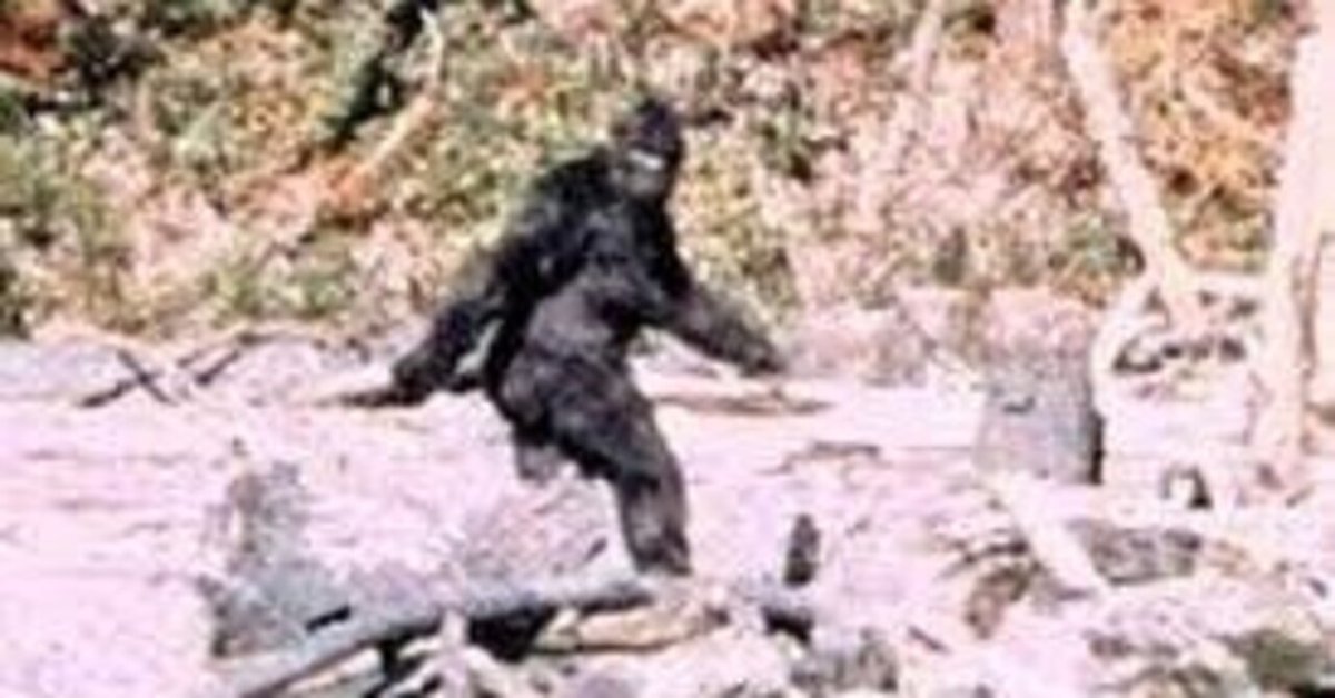 Amazon.co.jp: ビッグフット アクションフィギュア BigFoot Big