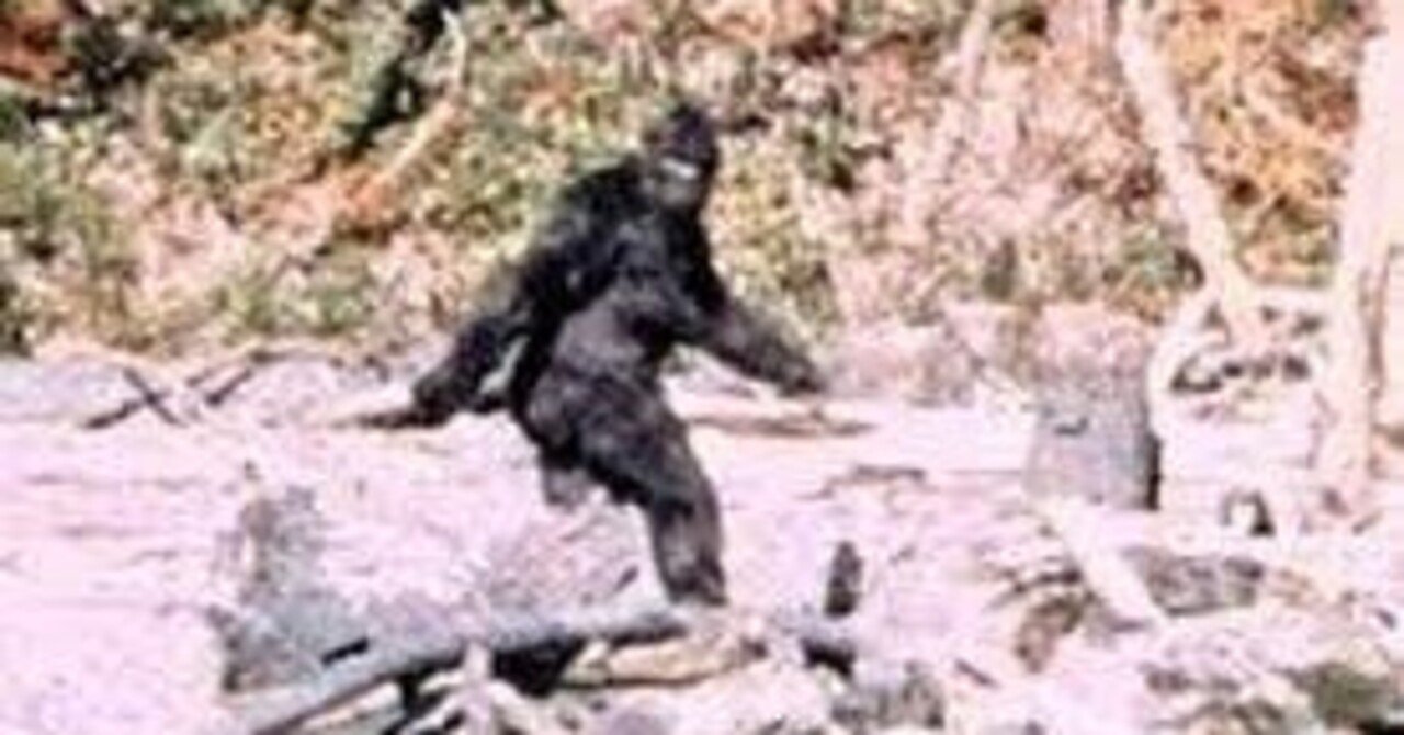 ビッグフット：大きな足のあいつ｜hitoshi kawamura