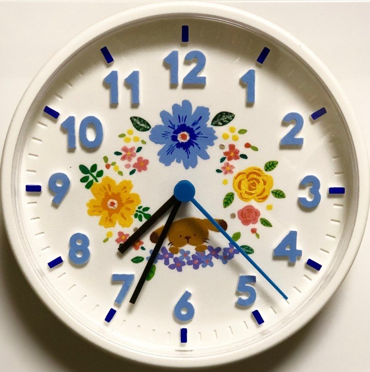 昨年の秋ごろにIKEAで真っ白な時計を買った。数字のところを青く塗りたいなぁと思いつつ、かれこれ半年ほど放置していたのだが、やっと塗れました。モノにお絵描きするのは楽しいのでこれからもやっていきたい(ビンとか石とか)。

#イラスト #DIY #時計 #花 #うさぎ