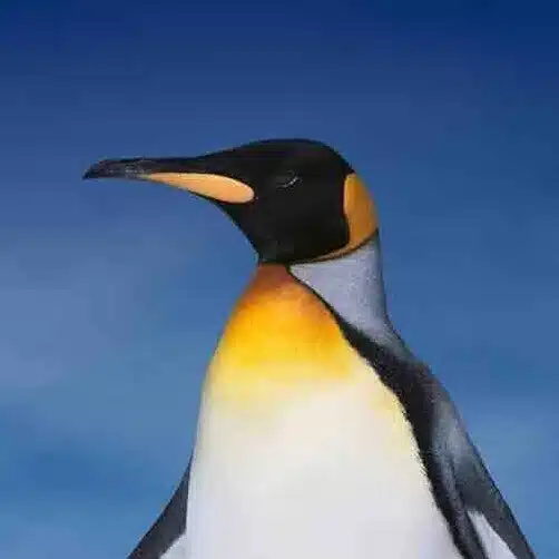 ペンギンJr