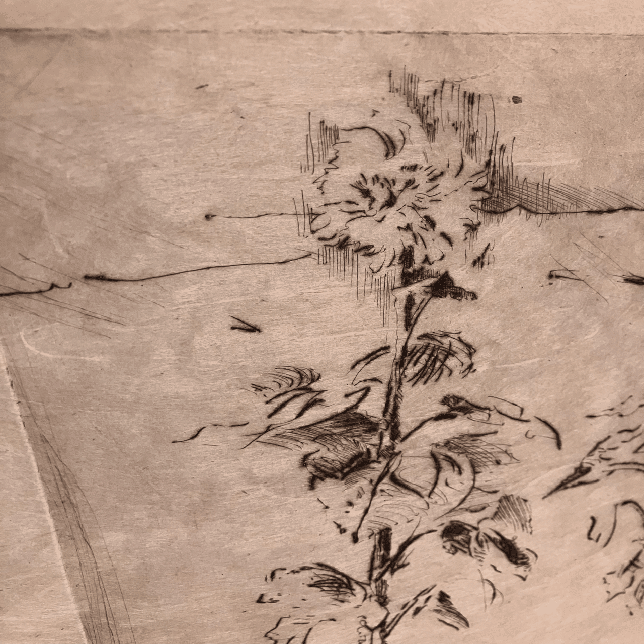 エッチングとドライポイントと歩行。｜齋藤悠紀