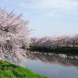 埼玉県、蓮田市に暮らす。