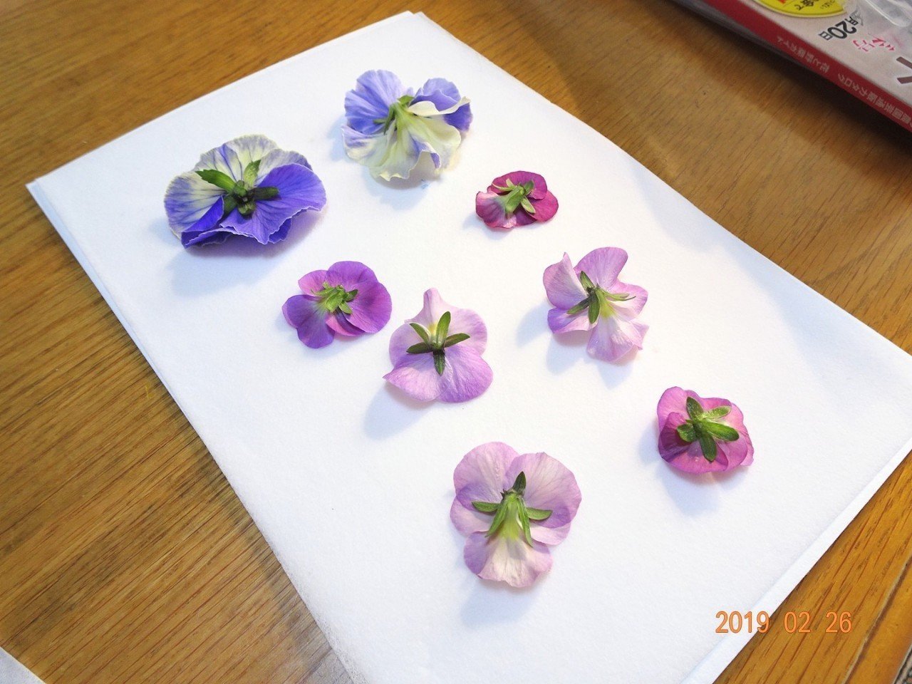 押し花とgoethe ゆかこ うつ畑 Note 押し花とgoethe ゆかこ うつ畑 Note