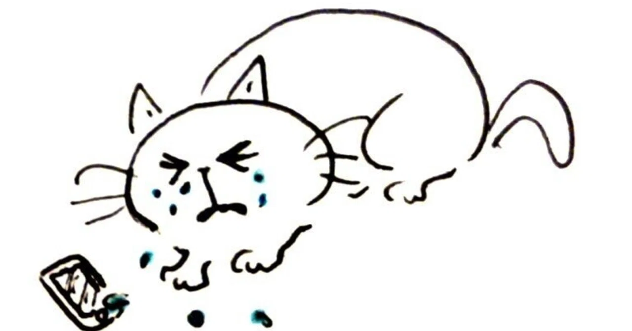 物 を 壊す 人