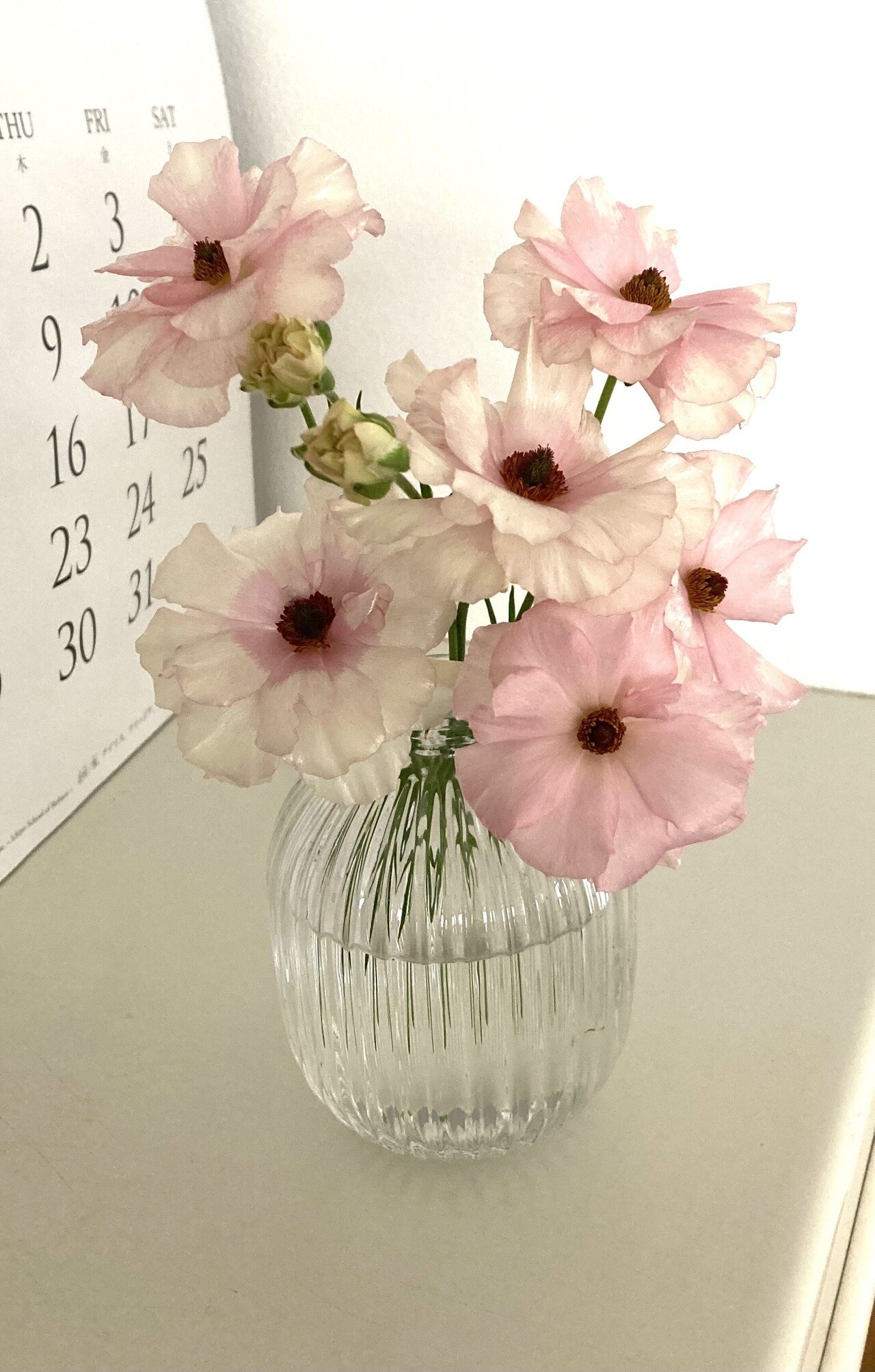 ラナンキュラスラックスがたくさん咲いたので、切り花を花瓶に