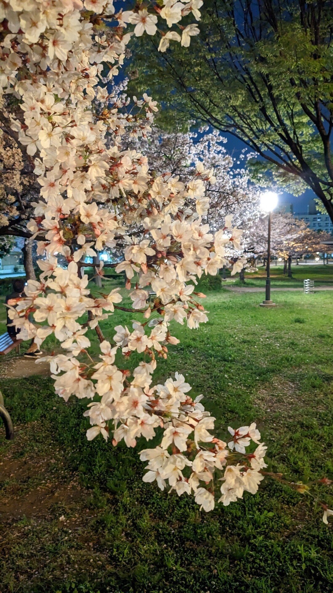 牧野桜夜様♡ありがとうございます♡