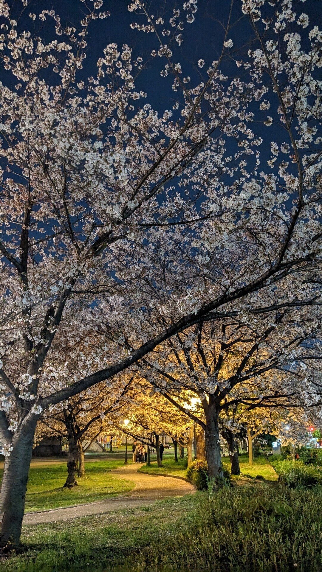 牧野桜夜様♡ありがとうございます♡