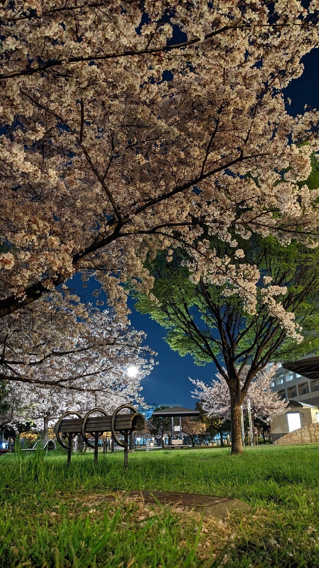 牧野桜夜様♡ありがとうございます♡