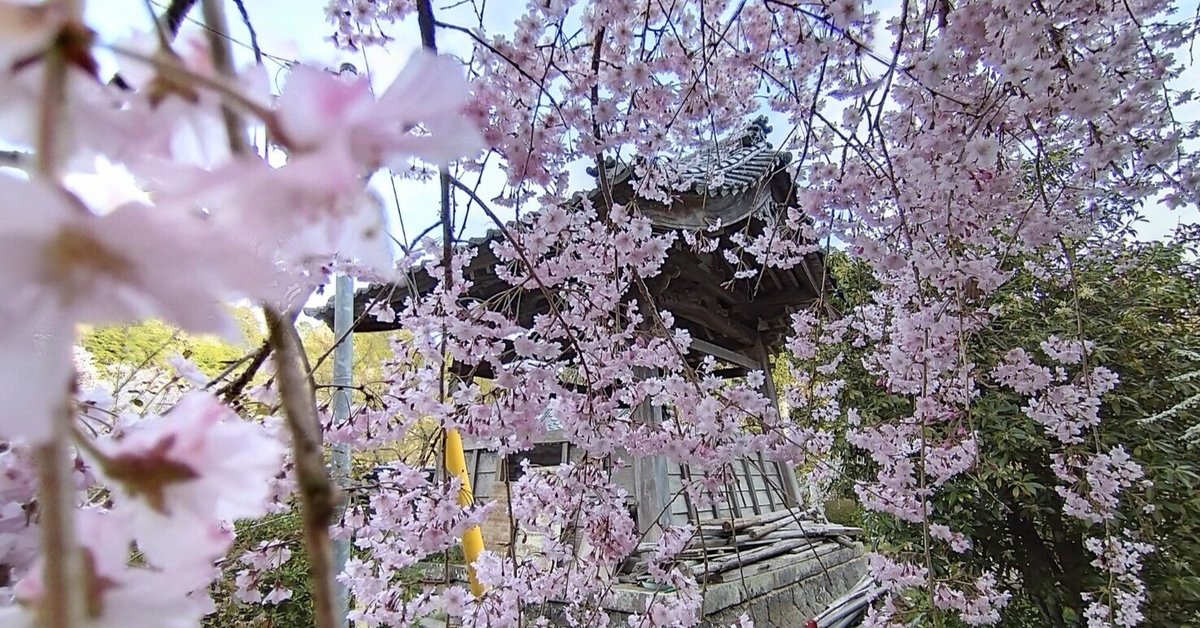 額縁YATAYA・廃盤・桜の大木・値下げ 額縁YATAYA・廃盤・桜の大木・値下げ 額縁YATAYA・廃盤・桜の