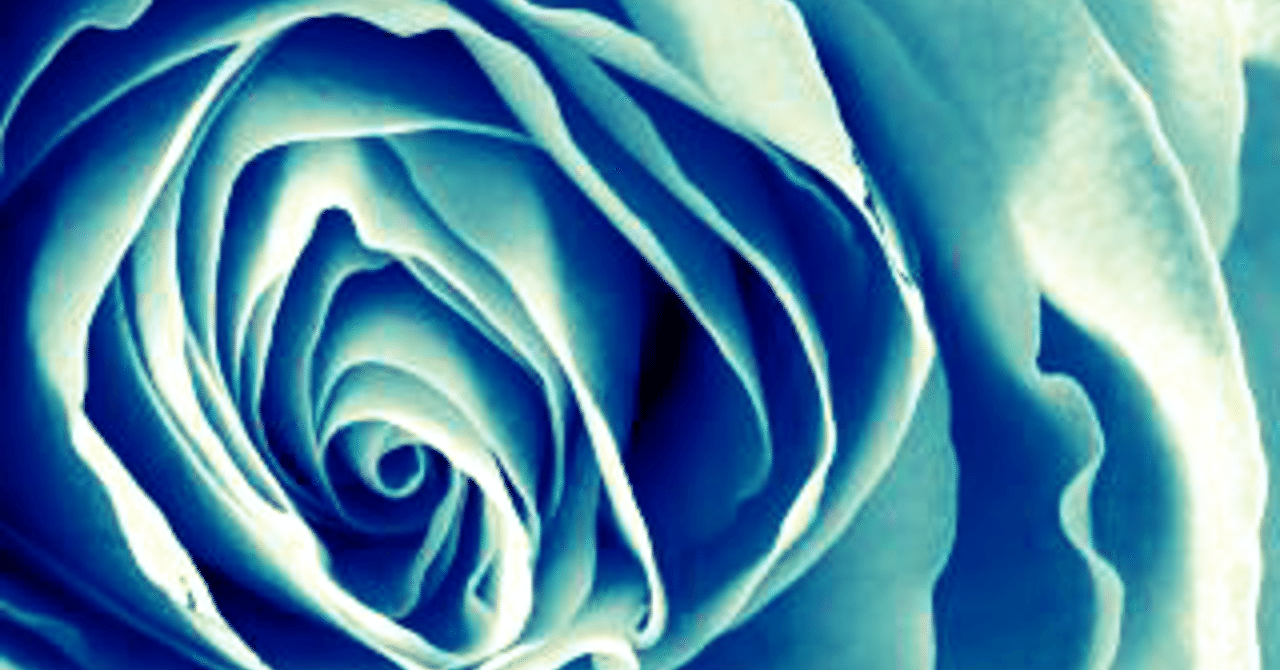 Blue rose flower language｜🍳kimie🍳