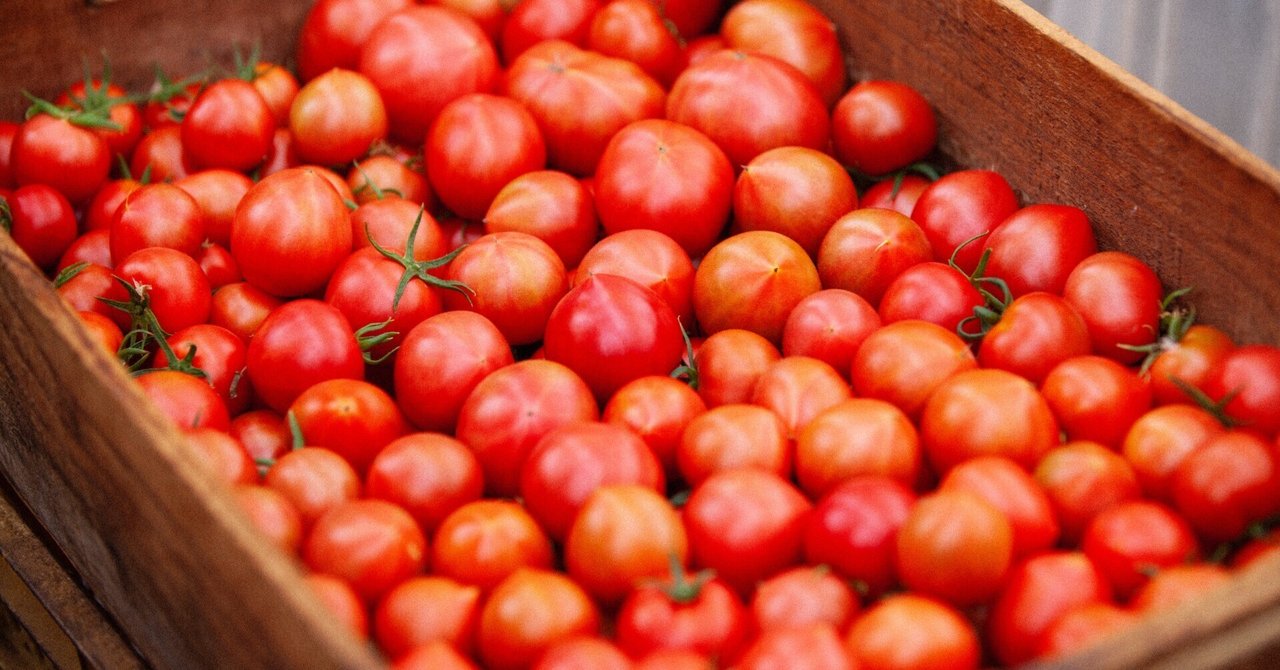 ��ë�ȥޥ�����