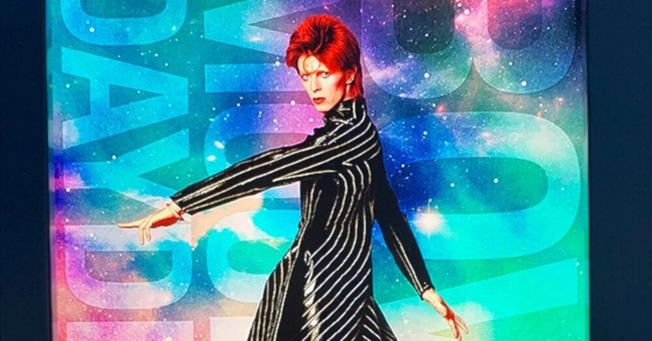 映画】DAVID BOWIE - MOONAGE DAYDREAM｜Ordinary Life