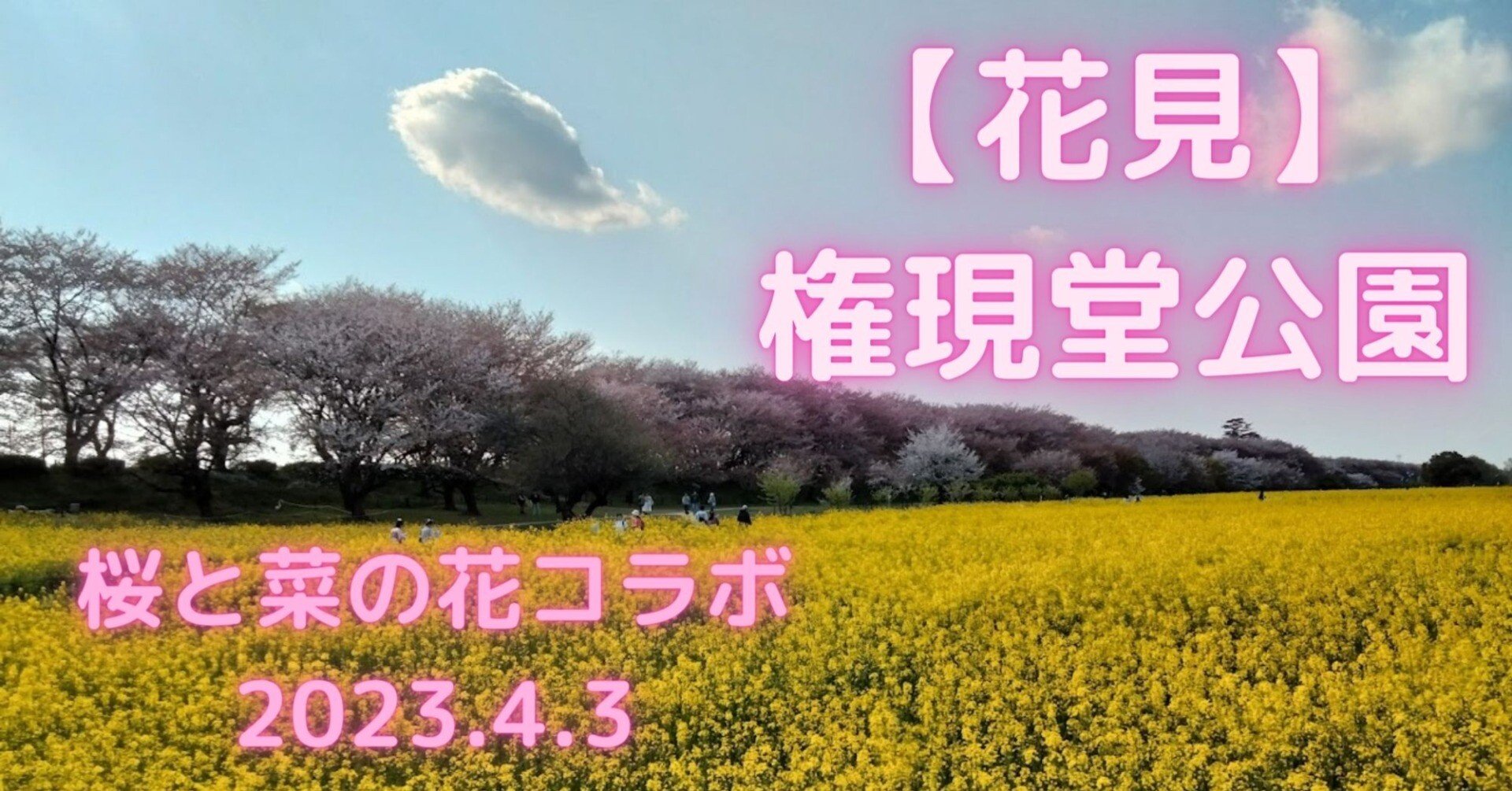 花見】幸手権現堂公園 桜と菜の花コラボ 2023.4.3｜takewoody＠学ぶ
