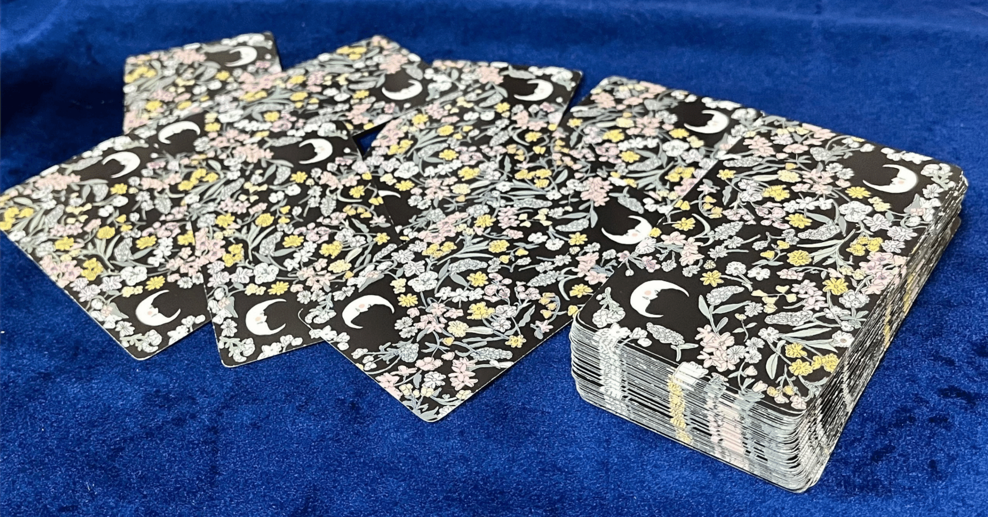 ACGのあれこれ｜海月里ほとり