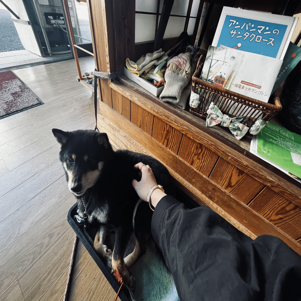 一口エッセイ:犬と過ごす平穏の幸せを知る人たち｜nyalra