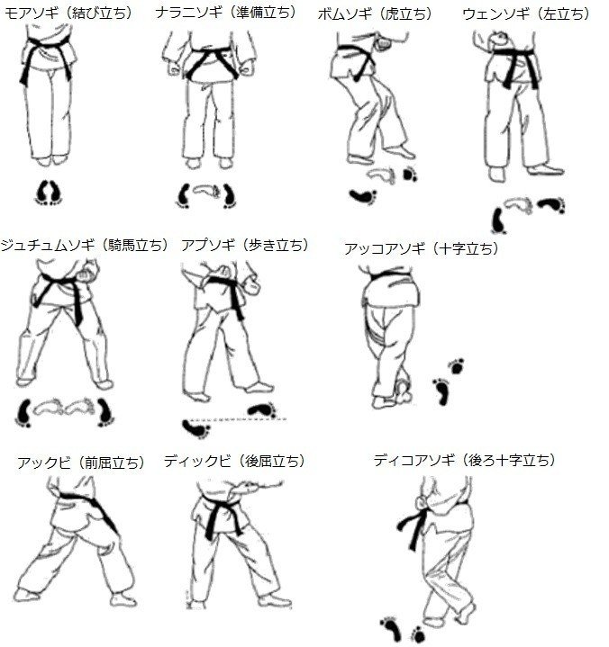 ゼロから学ぶwtfテコンドー キョルギ編 Mr Whitebelt Note