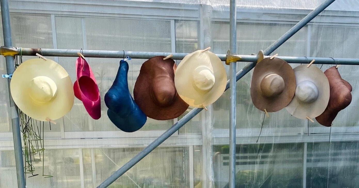 👒夏物帽体・Straw Hat Body 👒|emera 👒夏物帽体・Straw Hat Body 👒|emera