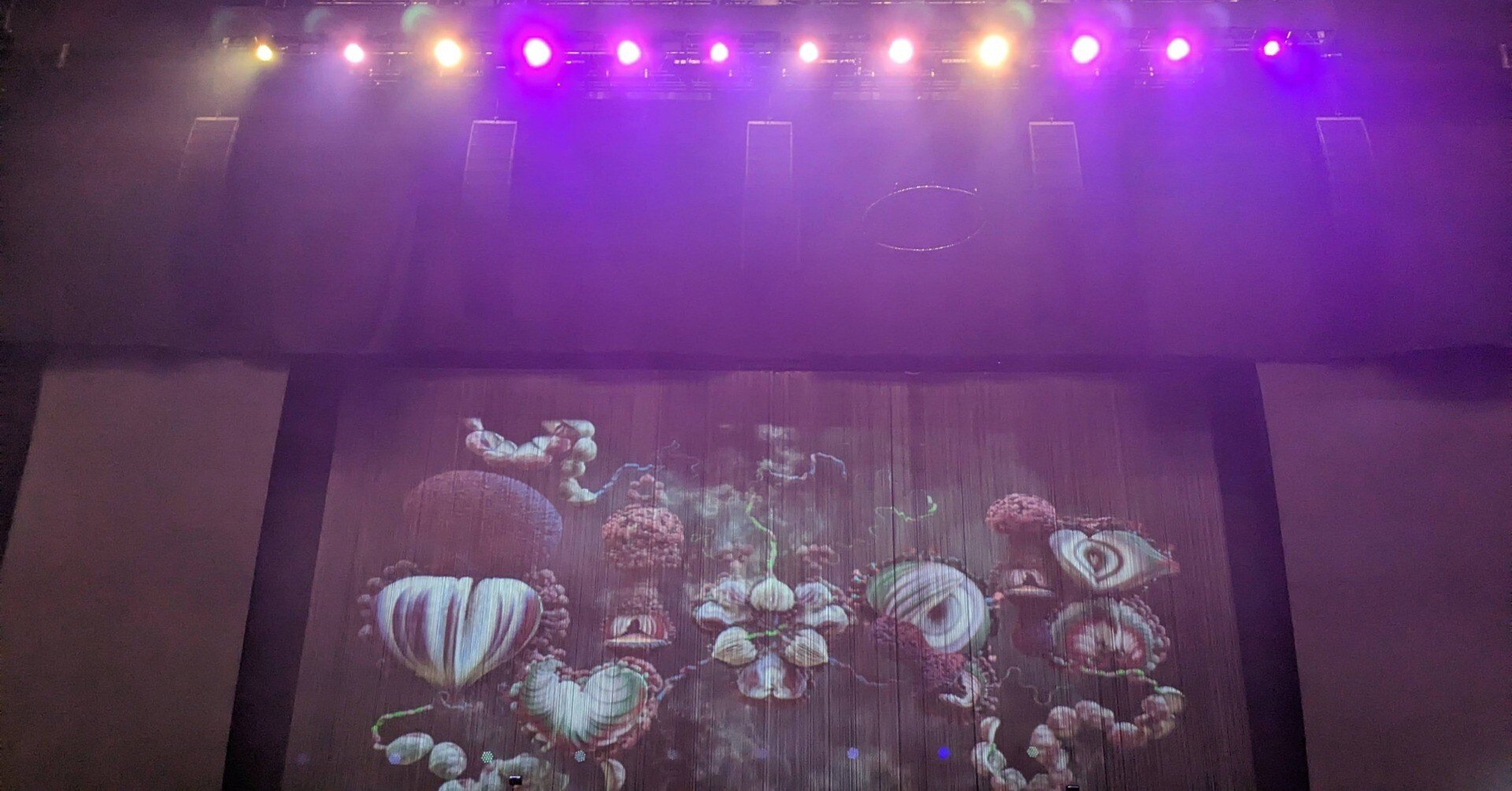 ビョーク　コーニュコピア　リトグラフ　来日公演グッズ ビョーク コーニュコピア リトグラフ 来日公演グッズ SMASH-jpn