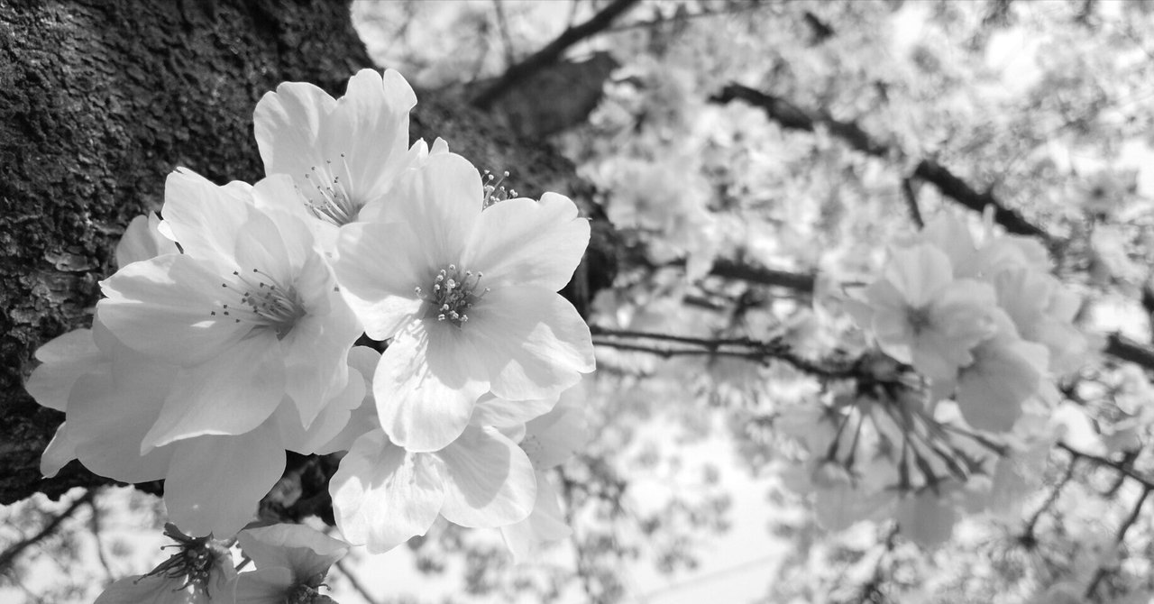 rectangle_large_type_2_e3b4768 rectangle_large_type_2_e3b4768