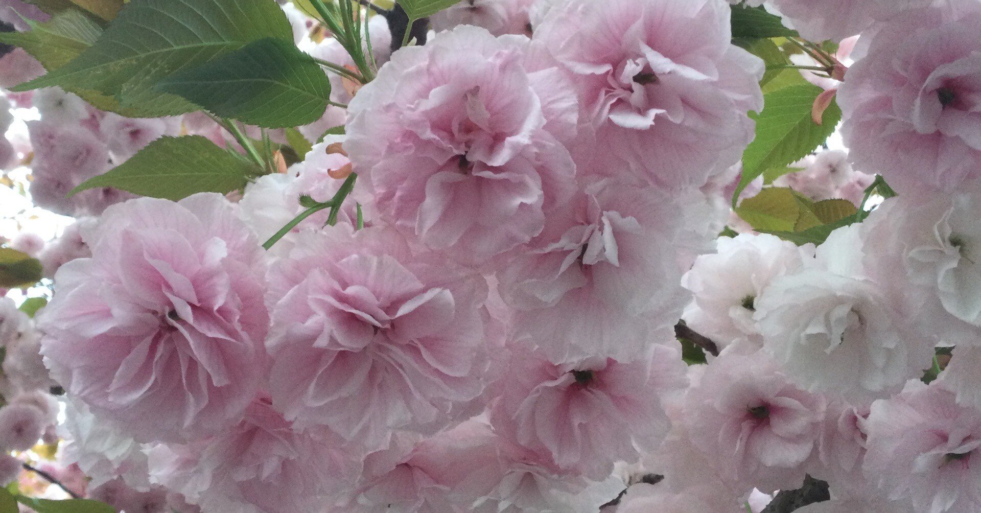 3494dbe9d4ef5027920d3ee68108ec