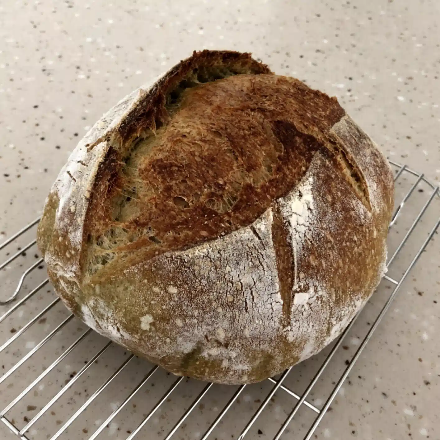 KUHI-DAURAKU