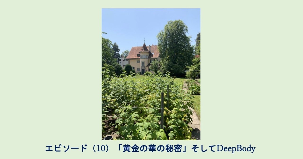 太乙金華宗旨 本山博訳 楽天ブックス: 太乙金華宗旨 - 本山博 - 9784879600035 : 本