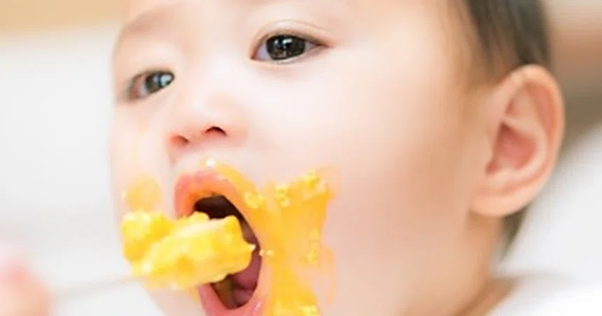 Baby Way Productions Tips for Introducing Baby Food with Consideration for Food Allergies|こど ...