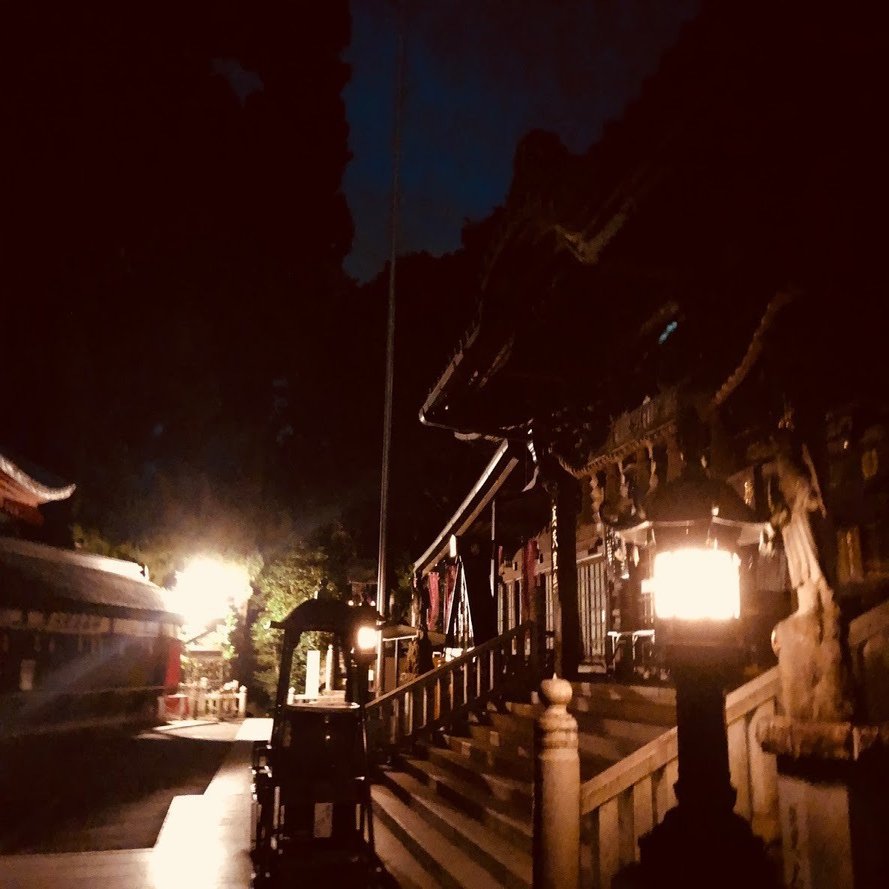 高尾山ナイトハイクでムササビを観察する方法 サンポマスター Note