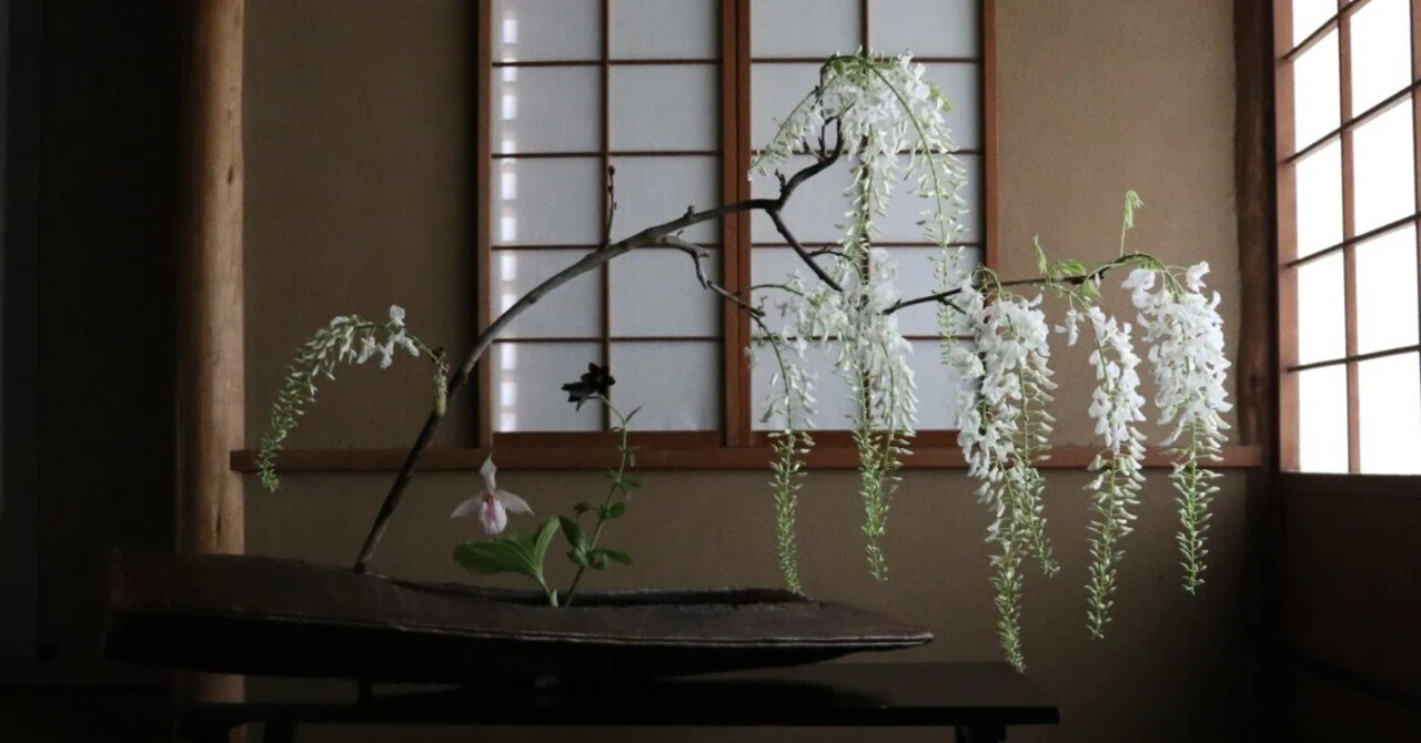 源氏物語から抜け出してきたような高貴な花、藤の二面性｜花の道しるべ 