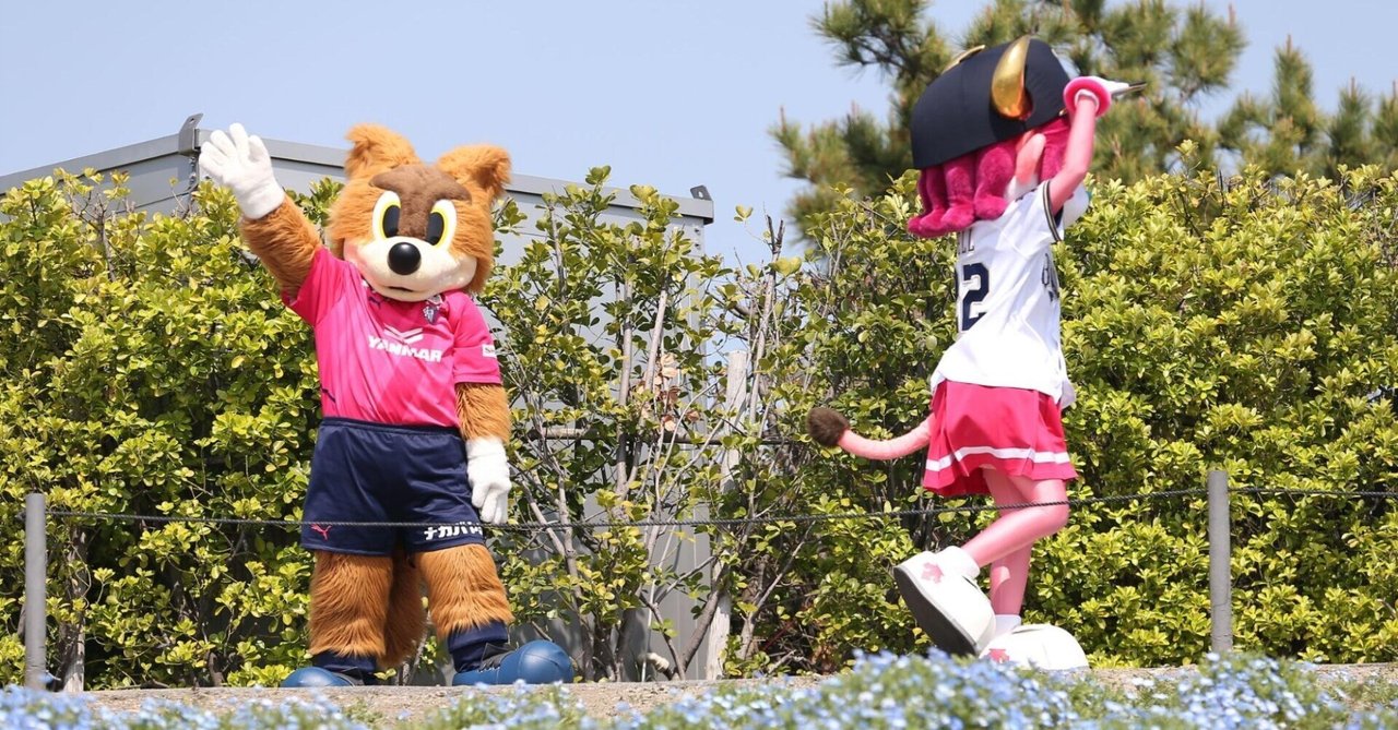 2023年 セレッソ大阪 15番 藤尾翔太選手 (現 町田）ユニフォーム XL 2023年 セレッソ大阪 15番 藤尾翔太選手 (現 町田）ユニフォーム XL