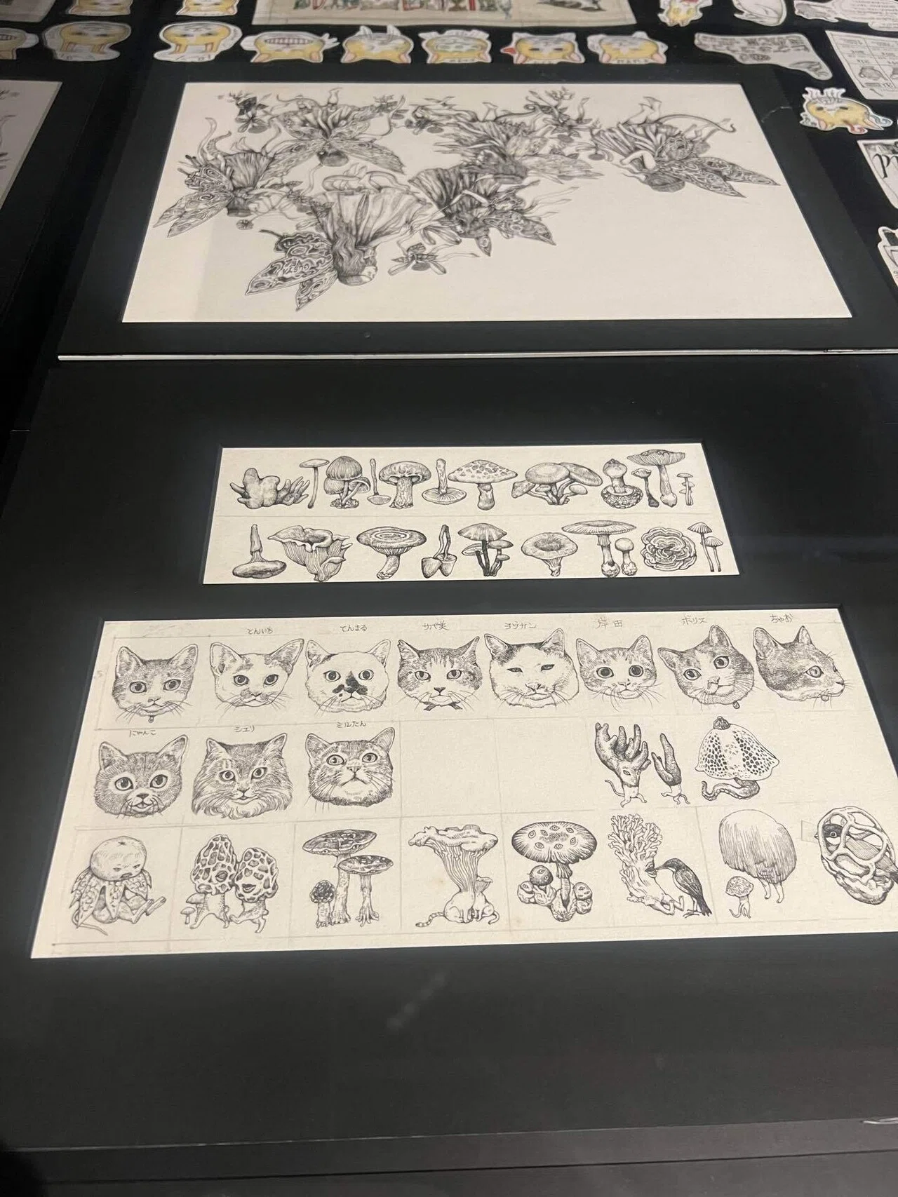私たちいつまでも物語の中にいたい ヒグチユウコ展｜yuukee