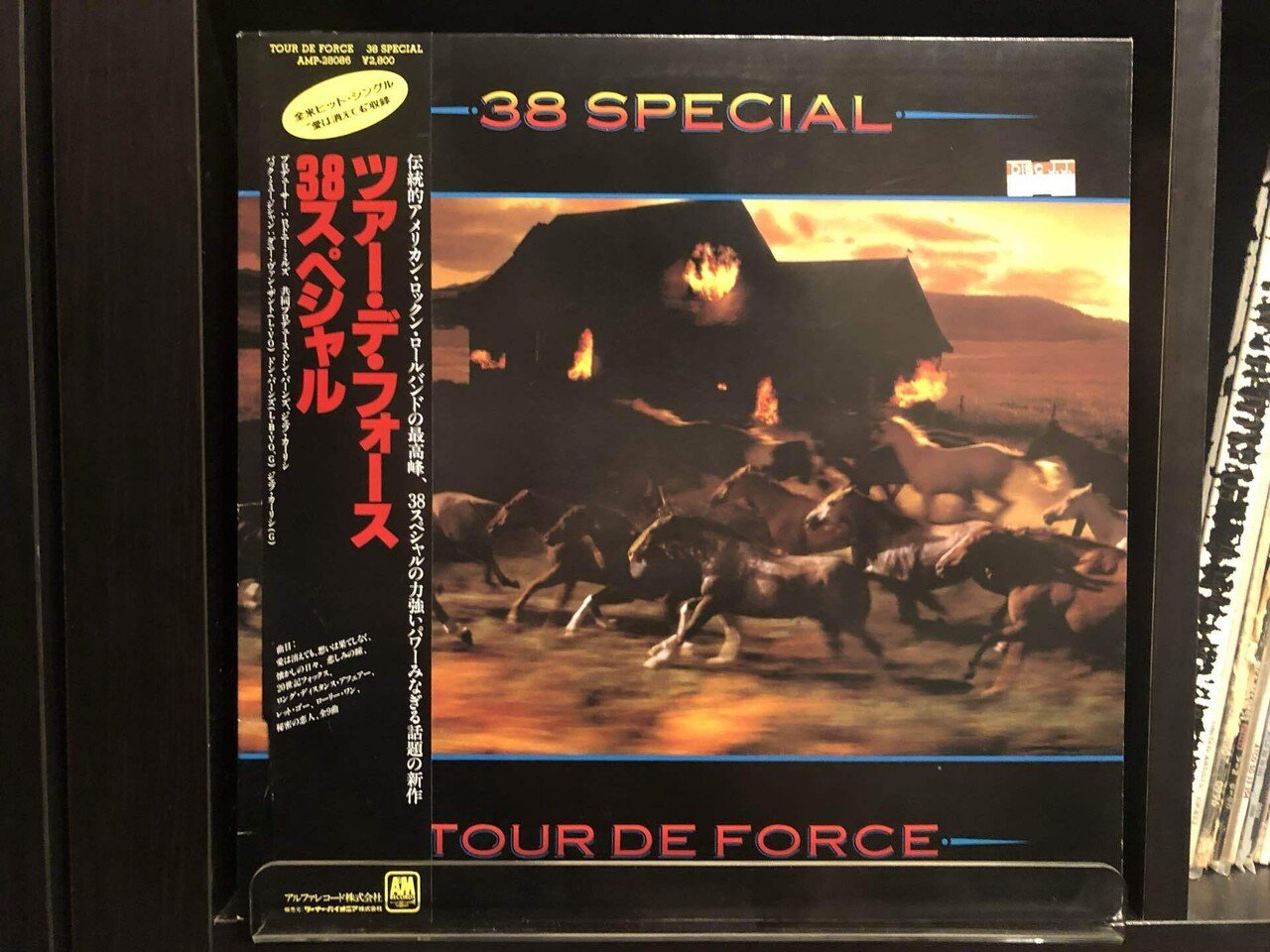 38 Special – Wild-Eyed Southern Boys – Vinyl (X, Pitman