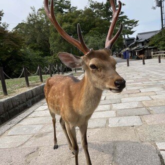 トップに移動