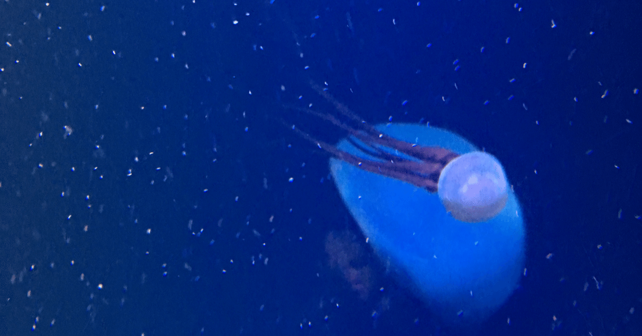 水深8336メートルで魚を撮影、ギネス世界記録｜海のイドバタ会議