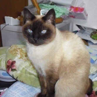 kenkenchan🌈✨🔰