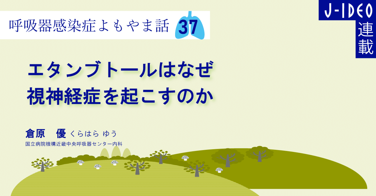 エタンブトール経口液FURPリーフレット