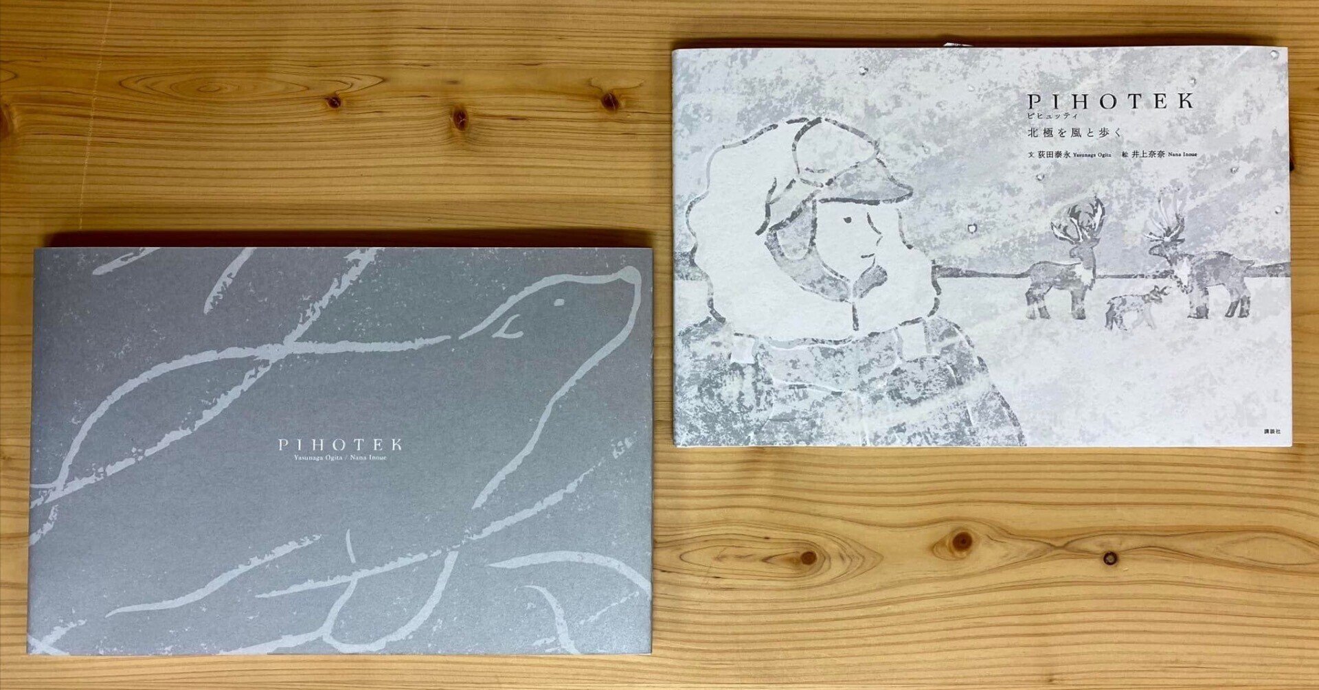 世界一大きい絵本　人類は何を見てきたか　講談社 世界一大きい絵本 人類はなにを見てきたか(編 : 川添登 ; アート