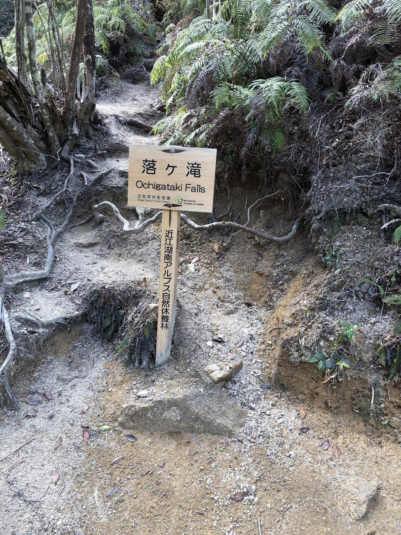 上州勝山 とれいん工房 katamachi on X: 