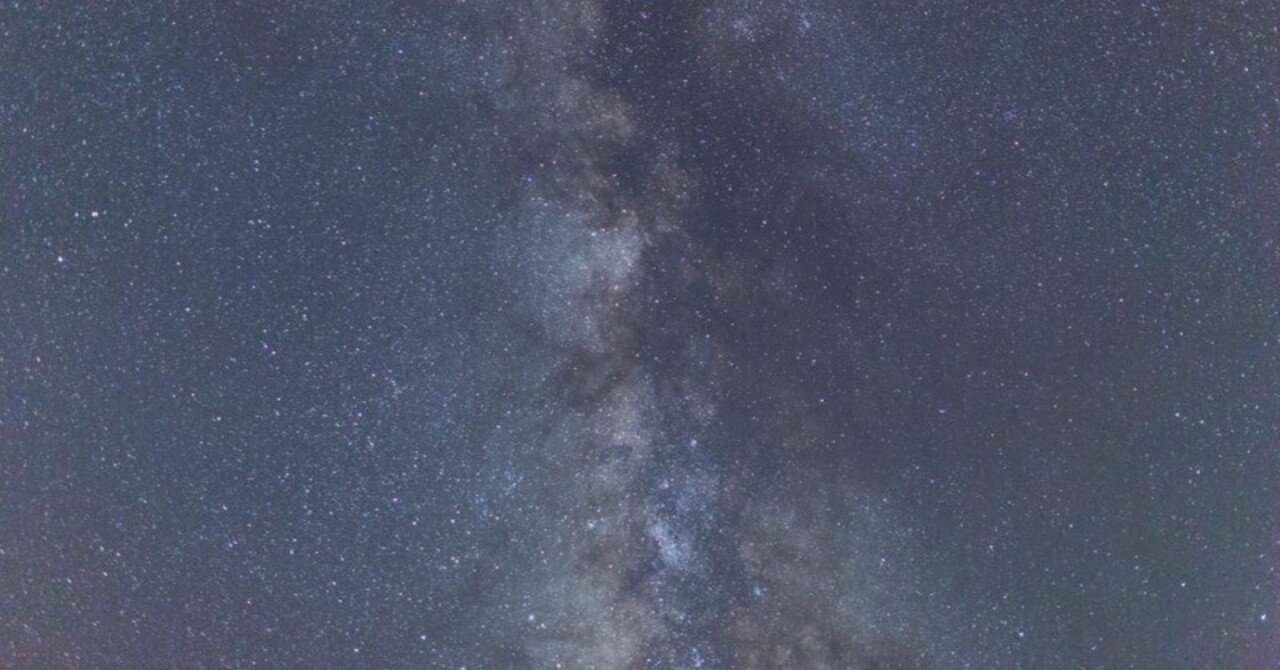 トラベラーハンドブック【読書紹介、え？ これ、読書紹介とか読書感想