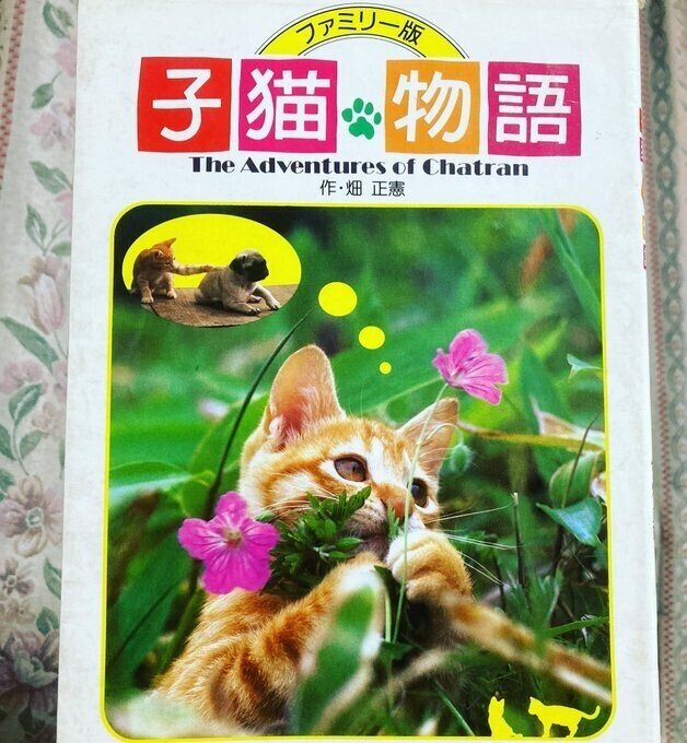 子猫物語　チャトラ 畑正憲さんのご冥福をお祈りいたします 子猫物語は映画で見ました