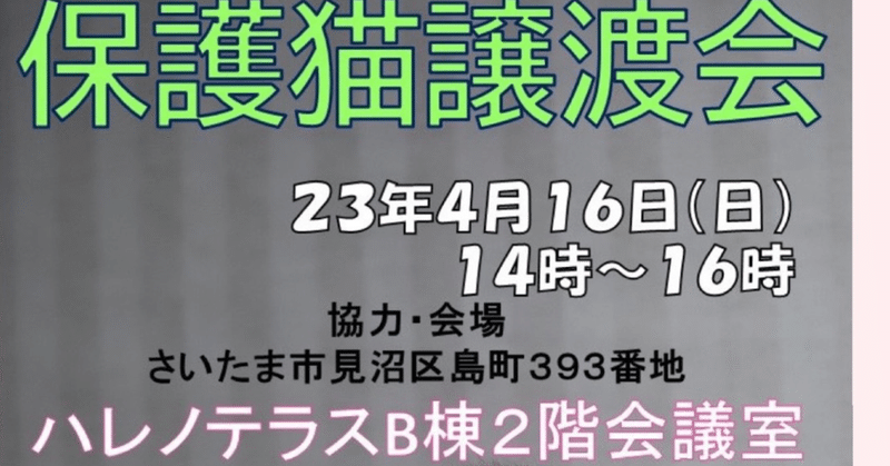 ハレノテラス参加猫発表