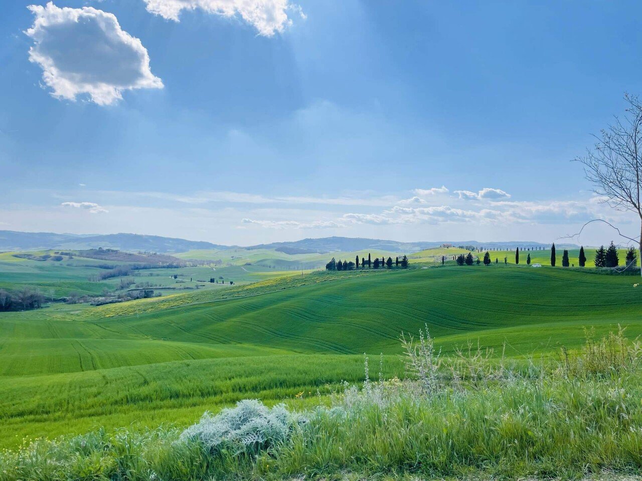 イタリア🇮🇹1週間のトスカーナ旅行/トスカーナの魅力とアイテナリー